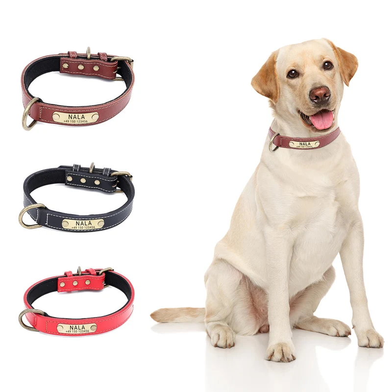 Hundehalsband mit Namen auf Messingschild aus hochwertigem Leder, Innenpolsterung aus Neopren, 2 anillos en D masivos