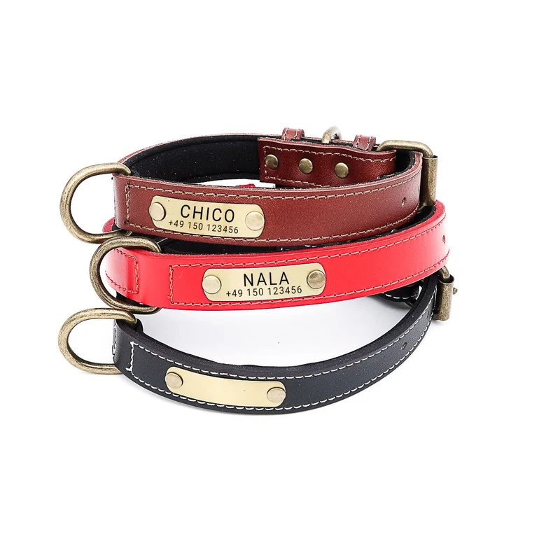Hundehalsband mit Namen auf Messingschild aus hochwertigem Leder, Innenpolsterung aus Neopren, 2 anillos en D masivos