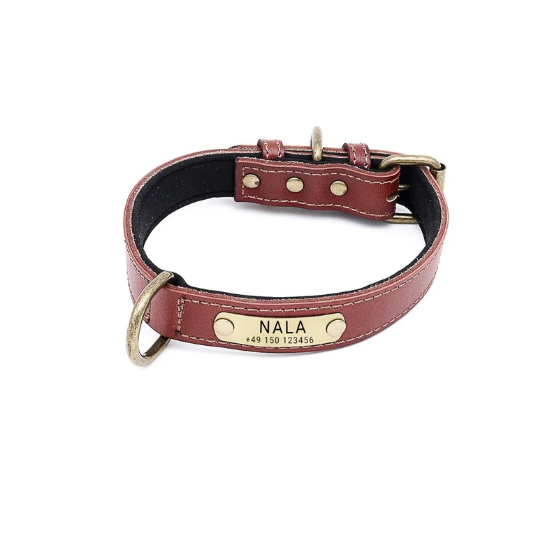 Hundehalsband mit Namen auf Messingschild aus hochwertigem Leder, Innenpolsterung aus Neopren, 2 anillos en D masivos