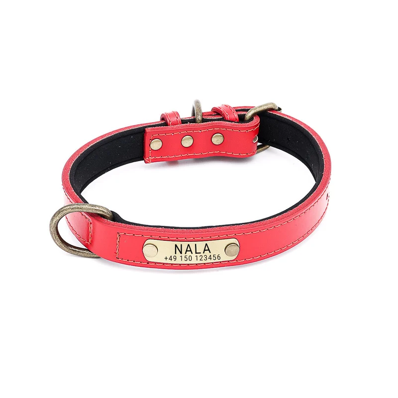 Hundehalsband mit Namen auf Messingschild aus hochwertigem Leder, Innenpolsterung aus Neopren, 2 anillos en D masivos