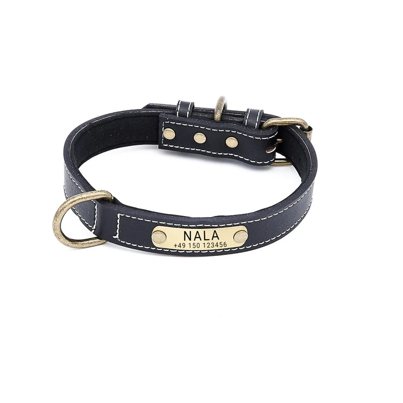 Hundehalsband mit Namen auf Messingschild aus hochwertigem Leder, Innenpolsterung aus Neopren, 2 anillos en D masivos