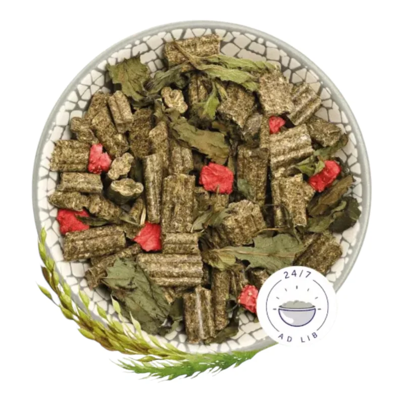 Bunny Dream Conejo Adulto Fresa y Menta Edición Limitada — Pienso Premium