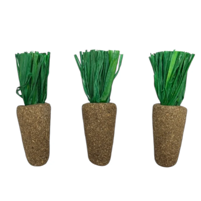 Zanahorias de Alfalfa para Roedores — Snack Natural y Nutritivo