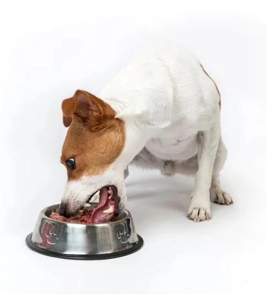 The K9 Kitchen Beef Raw Complete Dog Food