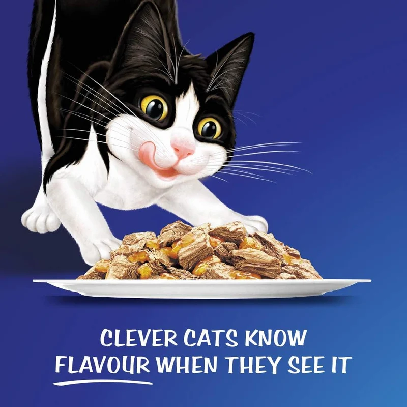 PURINA Felix as Good as it Looks Ocean Menus Wet Cat Food Pack 12X85G
