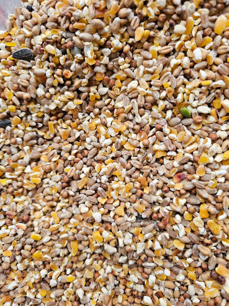Poeljen grano 5kg - Pienso para pollos - Sin marca