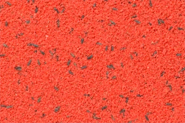 Alimento semihúmedo Bravo Red Egg 4 kg - Bird-X