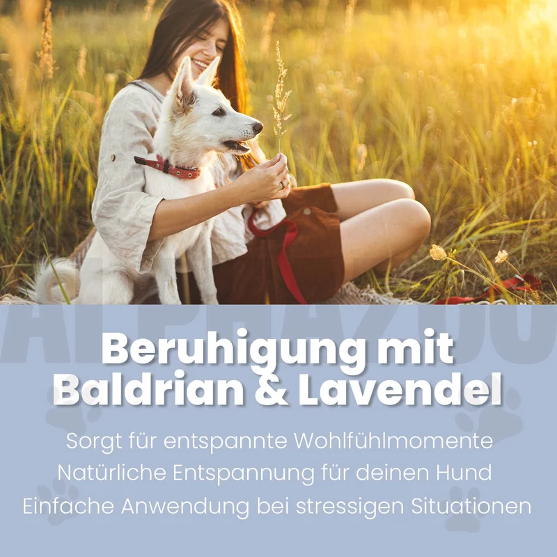 Seelenruhe Körbchenspray para perros