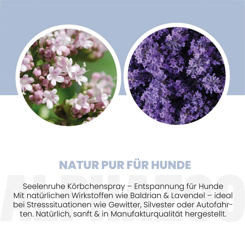 Seelenruhe Körbchenspray para perros