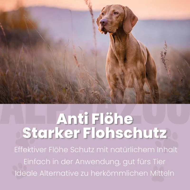 ByeByeVloh Flohspray para perros