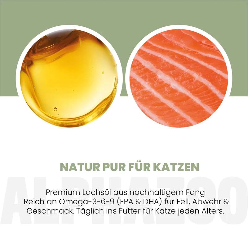 Aceite de salmón para gatos