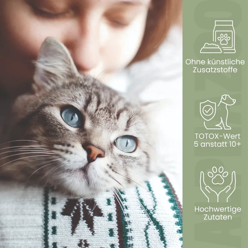Aceite de salmón para gatos