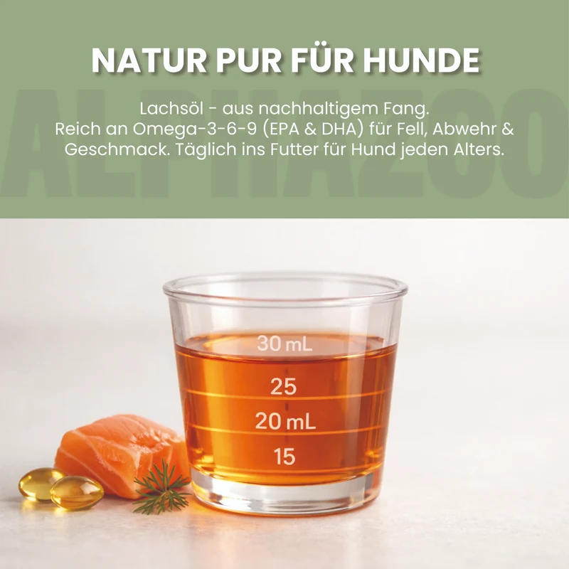 Aceite de salmón para perros