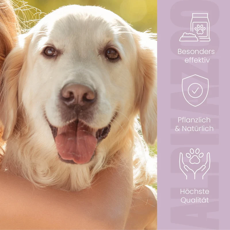 MilbHunter Milbenspray para perros