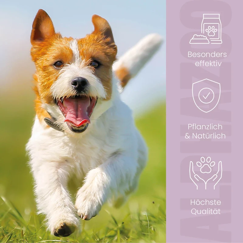 ZeckAttack Zeckenspray para perros