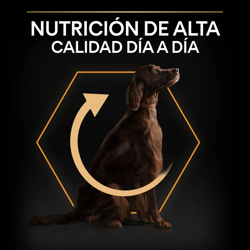 Pro Plan Dog Large Athletic Adult Pollo 14 kg+2,5 kg gratis