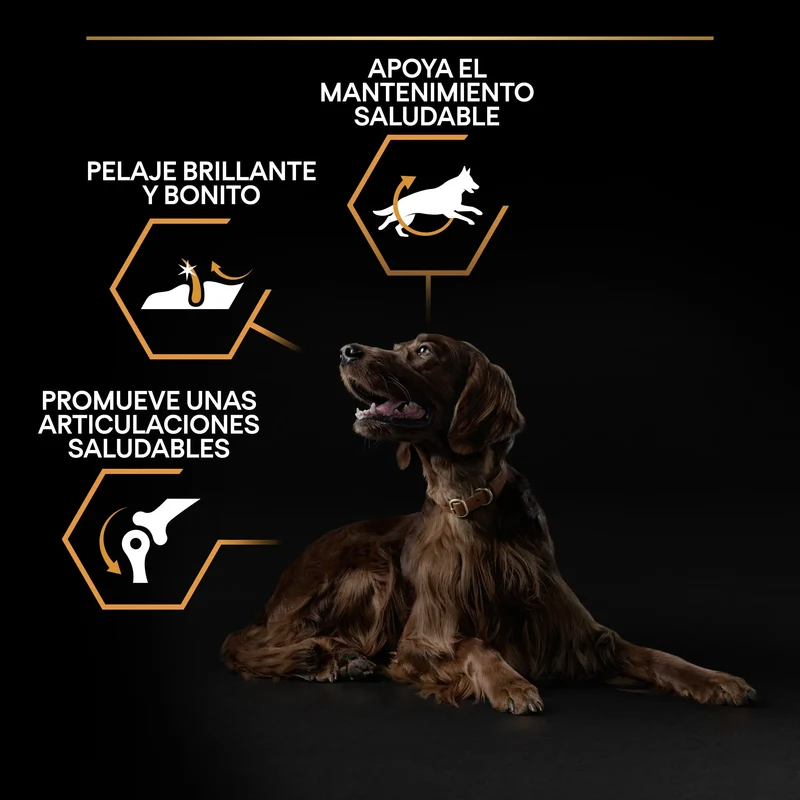 Pro Plan Dog Large Athletic Adult Pollo 14 kg+2,5 kg gratis