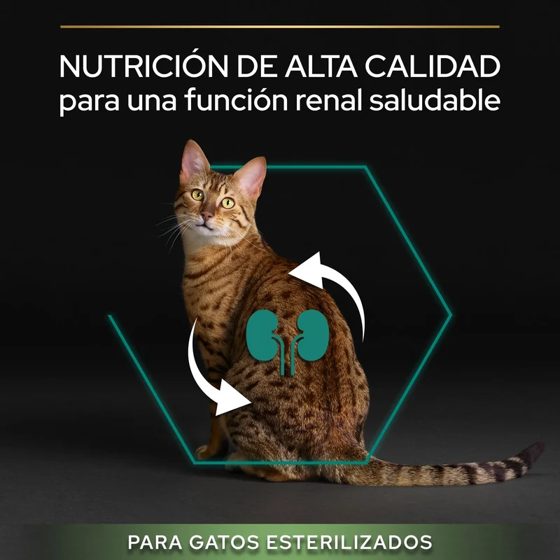 Pro Plan Cat Sterilized Adult Renal+ Pavo 10 kg+2 kg gratis