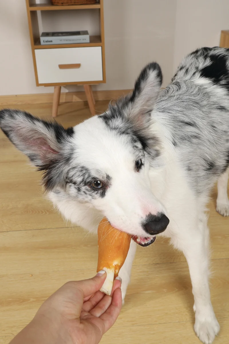 BITE DELIGHT Chicken Leg Dog Treat - 2 kg