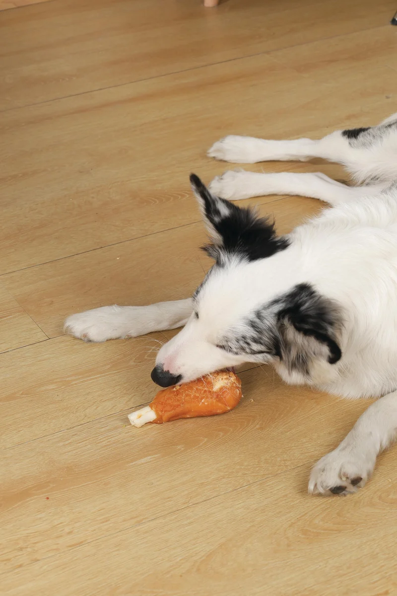BITE DELIGHT Chicken Leg Dog Treat - 2 kg