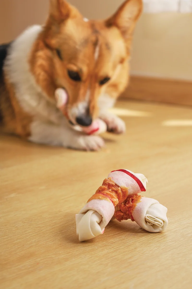 DUO BONE WRAPPED WITH CHICKEN Dog Treat