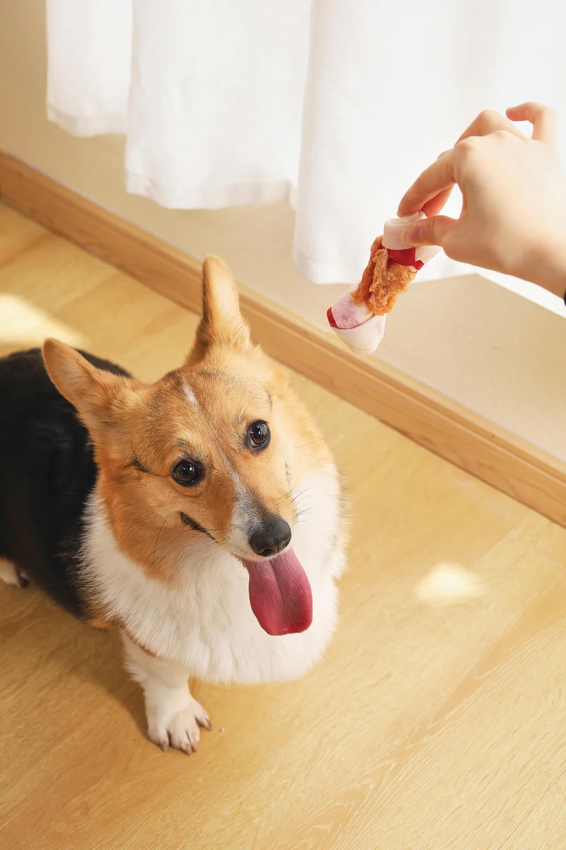 DUO BONE WRAPPED WITH CHICKEN Dog Treat