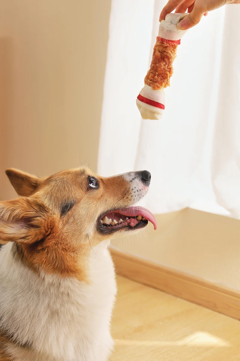 DUO BONE WRAPPED WITH CHICKEN Dog Treat