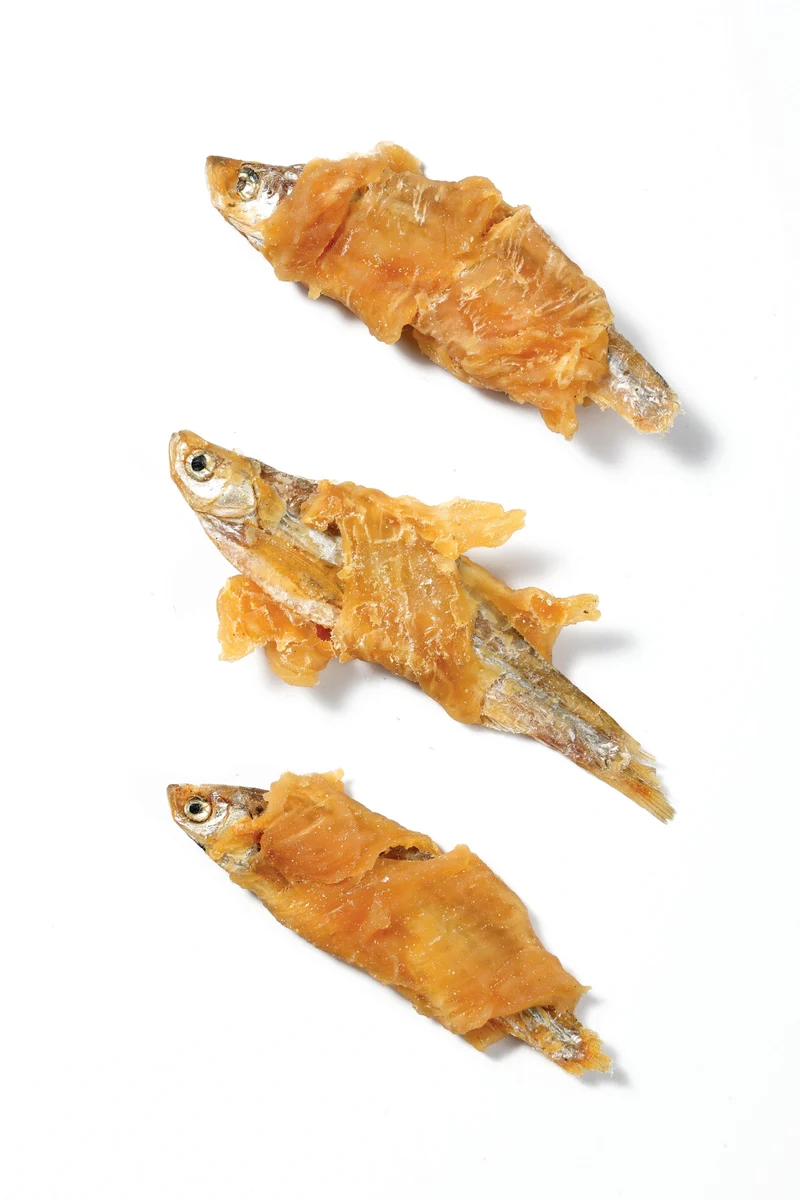 FISH & CHICKEN Dog Treat - 2 kg