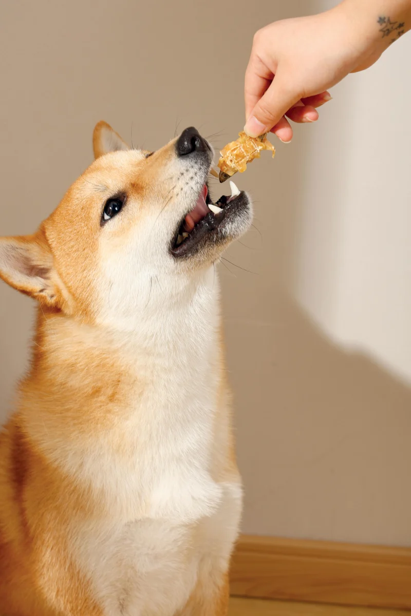 FISH & CHICKEN Dog Treat - 2 kg