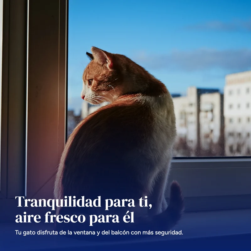 Red para gatos de balcón y ventana · Malla de protección sin taladro Nobleza