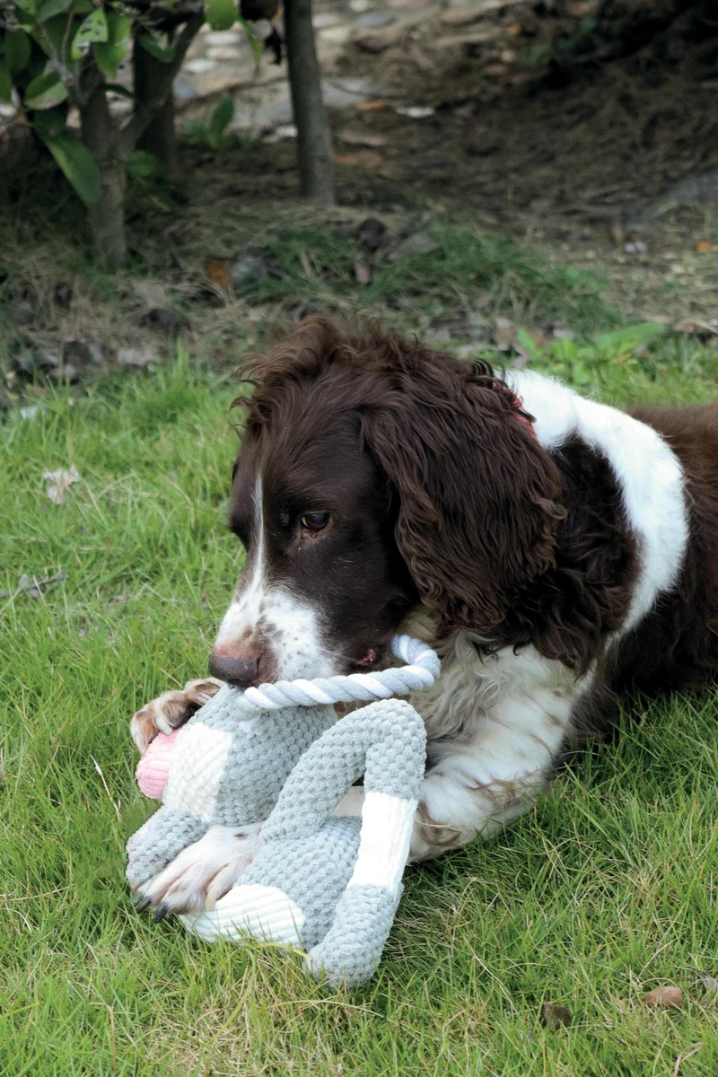 Chewtopia ECO Dog Toy - Pig