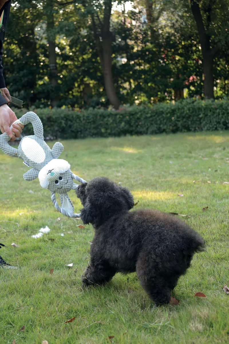 Chewtopia ECO Dog Toy - Rabbit