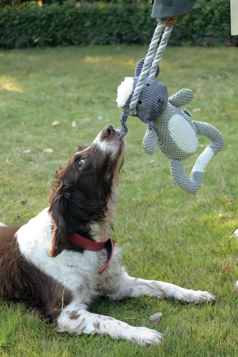 Chewtopia ECO Dog Toy - Sheep