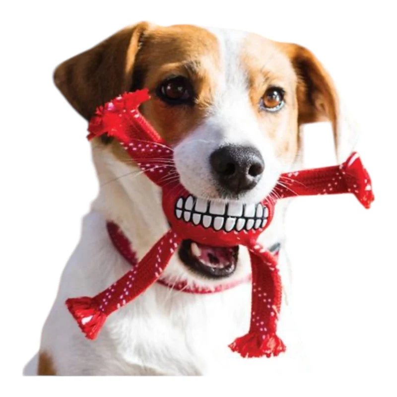 Rogz Flossy Grinz — Juguete Dental de Fetch y Tira y Afloja para Perros