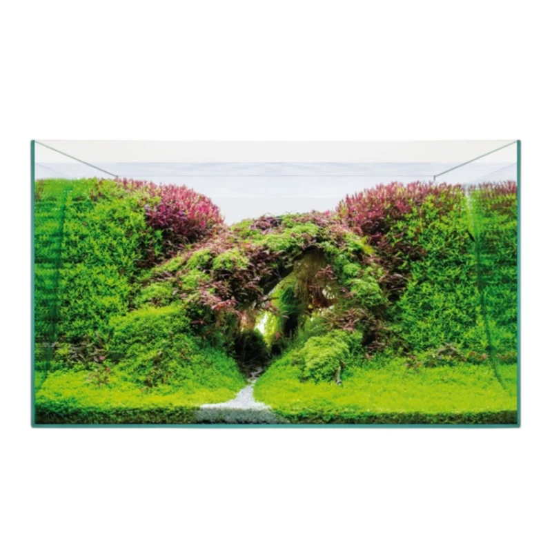Kit Acuario Aquascape Basic — Iniciación Acuarismo Completo