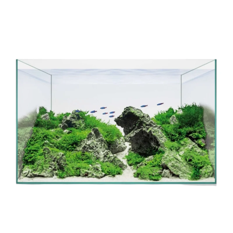 Kit Acuario Aquascape Basic — Iniciación Acuarismo Completo