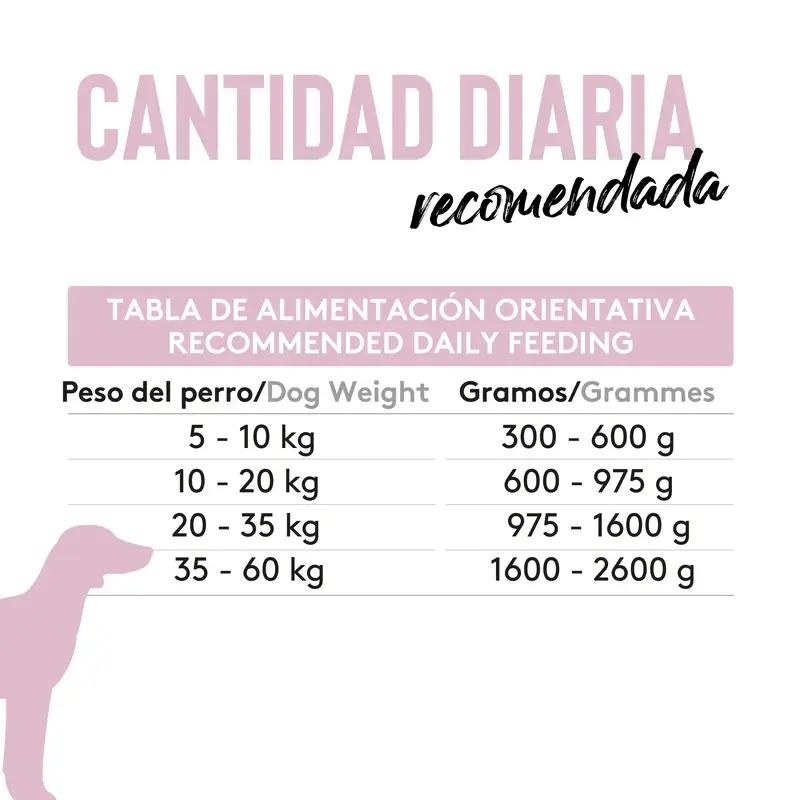 Dibaq Sense Comida Húmeda Perros Sensitive Conejo Y Pavo, 12 x 380 gr