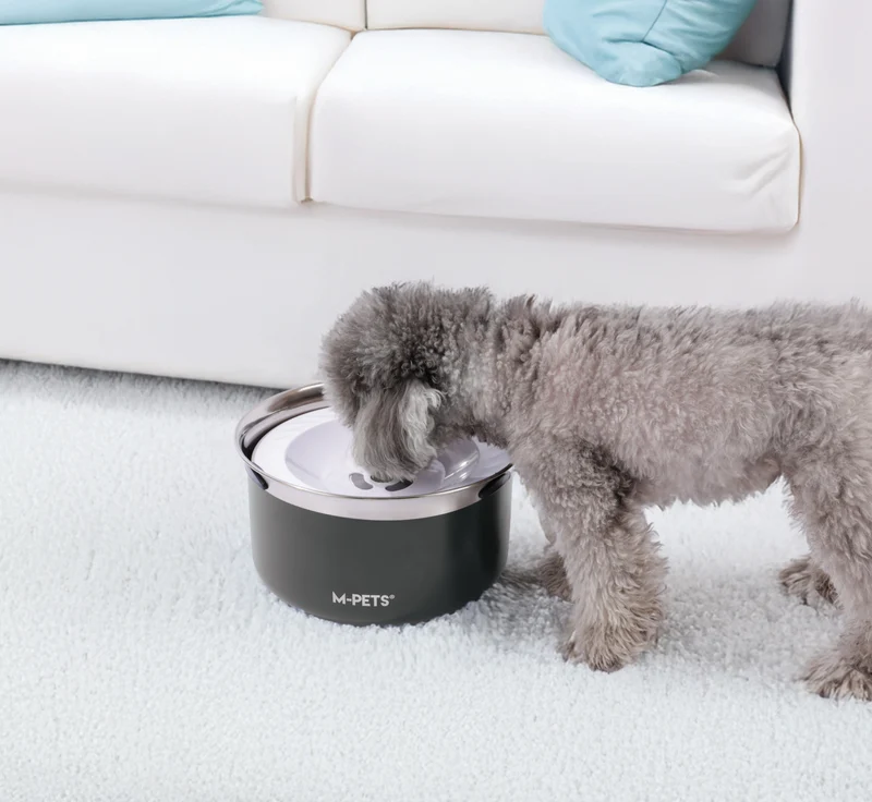 Splash Control Dog Bowl 3.7L - Charcoal Black