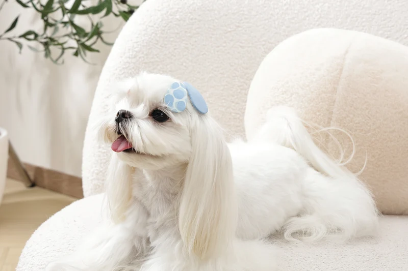 GLAM Hair Accessories for pets clip - Blue