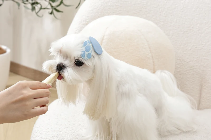 GLAM Hair Accessories for pets clip - Blue
