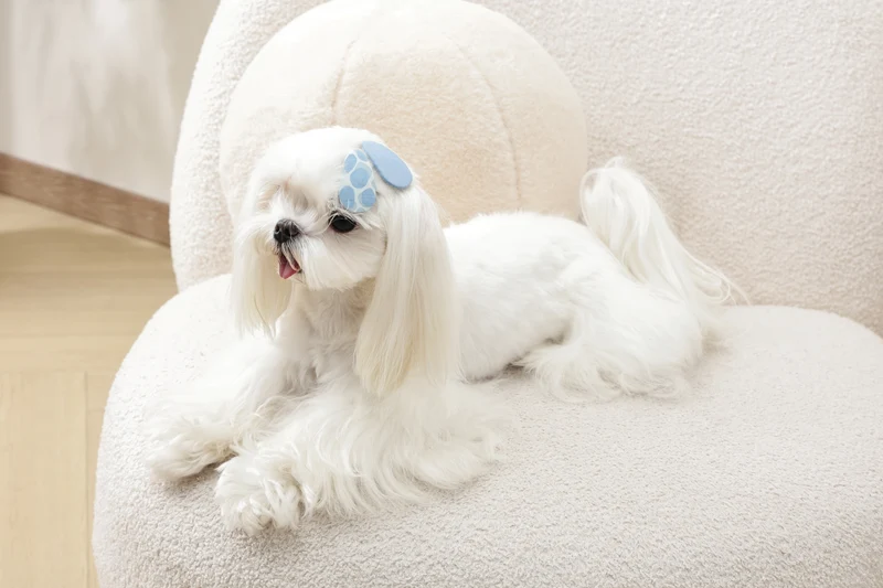 GLAM Hair Accessories for pets clip - Blue