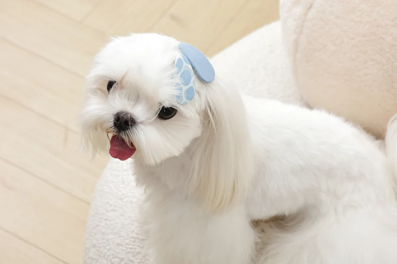 GLAM Hair Accessories for pets clip - Blue