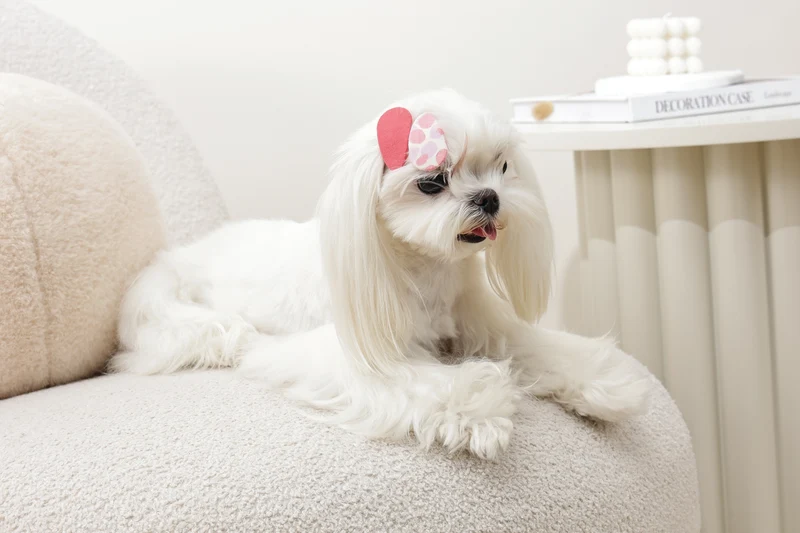 GLAM Hair Accessories for pets clip - Red