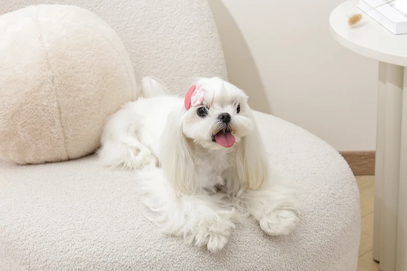 GLAM Hair Accessories for pets clip - Red