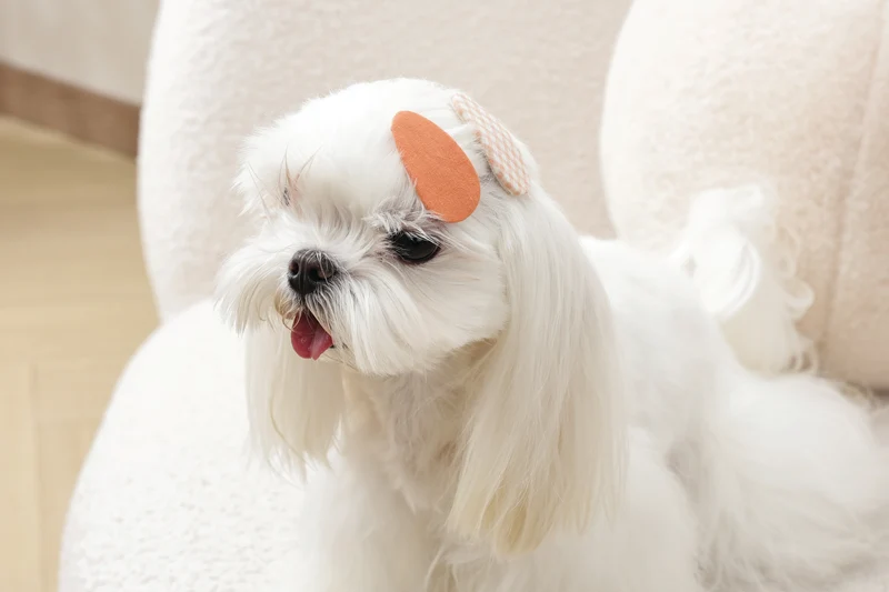 GLAM Hair Accessories for pets clip - Orange