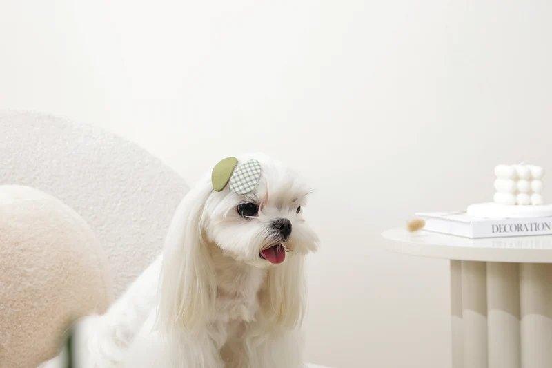 GLAM Hair Accessories for pets clip - Green