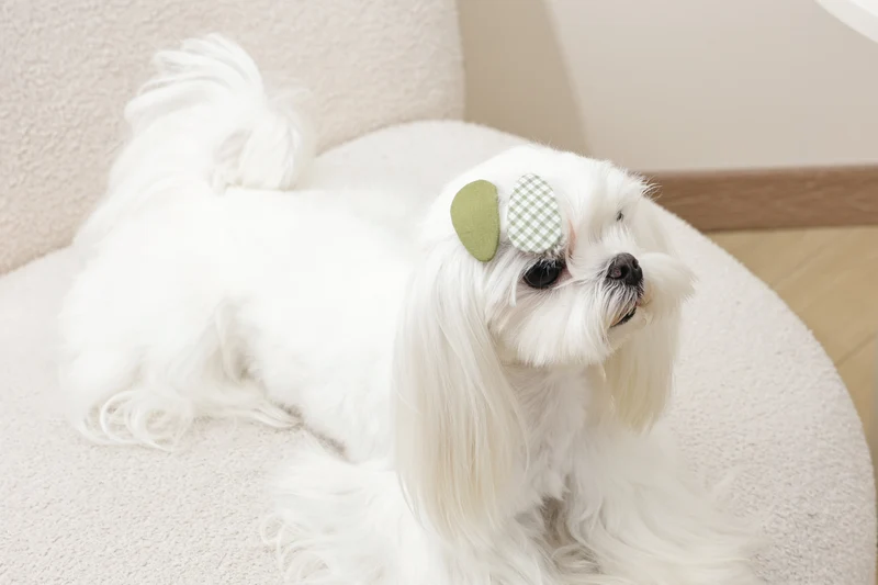 GLAM Hair Accessories for pets clip - Green