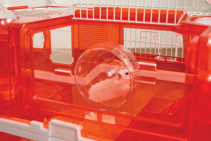 Hamitruck Hamster toy