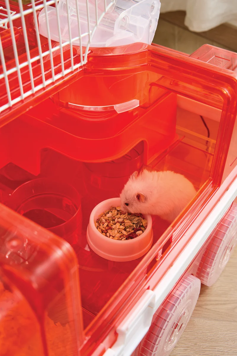 Hamitruck Hamster toy