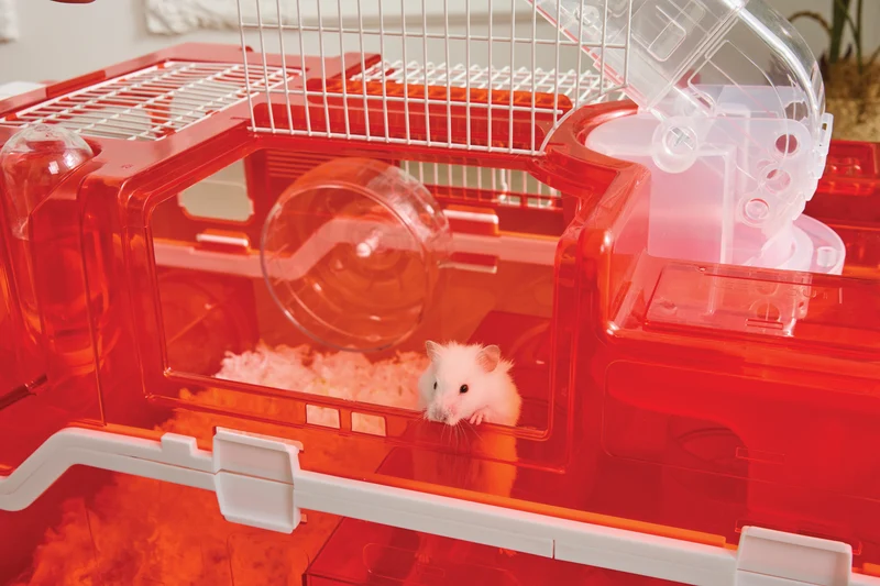 Hamitruck Hamster toy